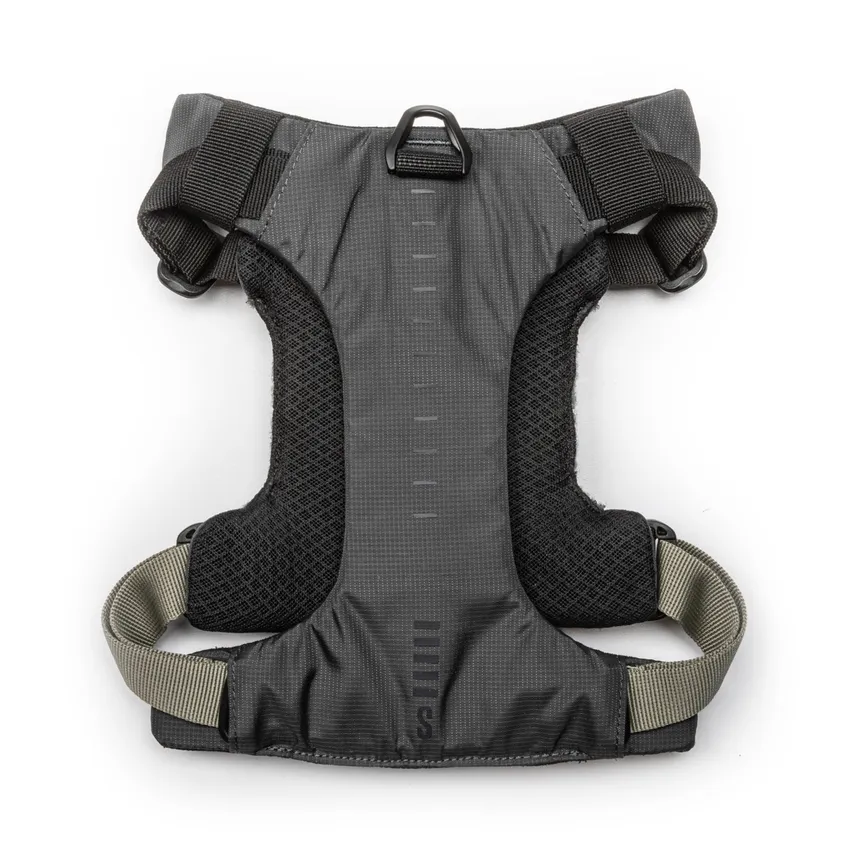 56789_098_rovr_harness_03